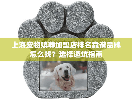 上海宠物殡葬加盟店排名靠谱品牌怎么找？选择避坑指南