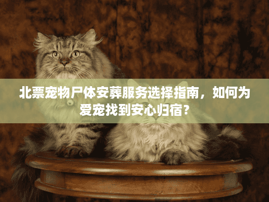 北票宠物尸体安葬服务选择指南，如何为爱宠找到安心归宿？