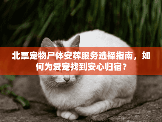 北票宠物尸体安葬服务选择指南，如何为爱宠找到安心归宿？