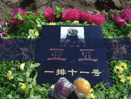 上海宠物殡葬报价表大全 告别伙伴时必看的价格对比方案