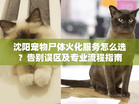 沈阳宠物尸体火化服务怎么选？告别误区及专业流程指南