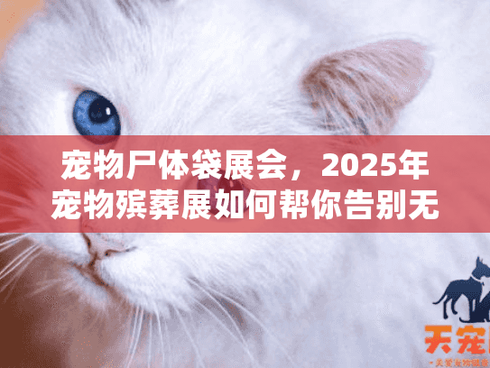 宠物尸体袋展会，2025年宠物殡葬展如何帮你告别无助？