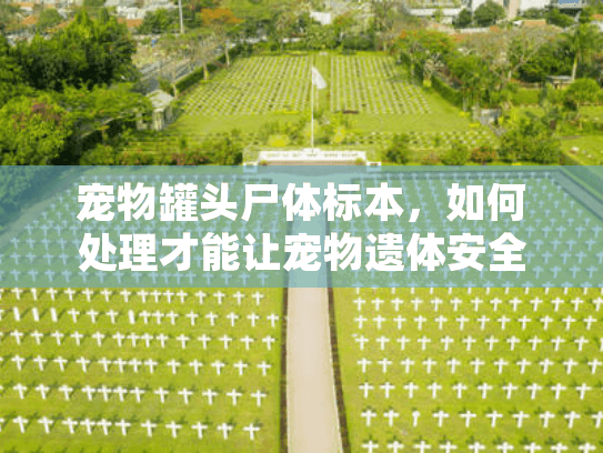 宠物罐头尸体标本，如何处理才能让宠物遗体安全永恒？