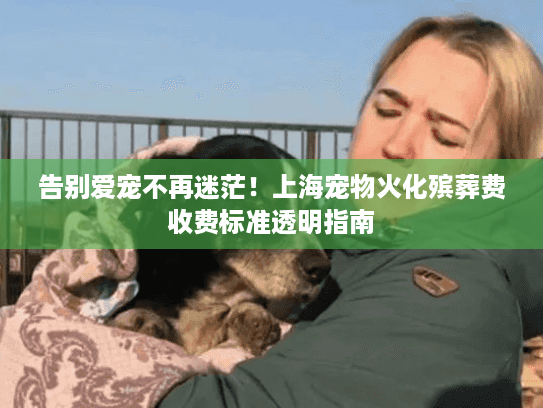 告别爱宠不再迷茫！上海宠物火化殡葬费收费标准透明指南