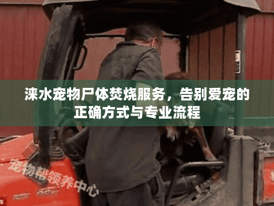 涞水宠物尸体焚烧服务，告别爱宠的正确方式与专业流程