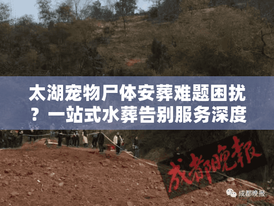 太湖宠物尸体安葬难题困扰？一站式水葬告别服务深度解析
