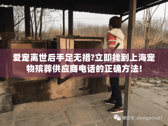 爱宠离世后手足无措?立即找到上海宠物殡葬供应商电话的正确方法!