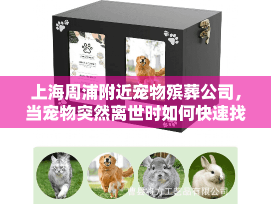 上海周浦附近宠物殡葬公司，当宠物突然离世时如何快速找到专业服务？