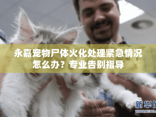 永嘉宠物尸体火化处理紧急情况怎么办？专业告别指导