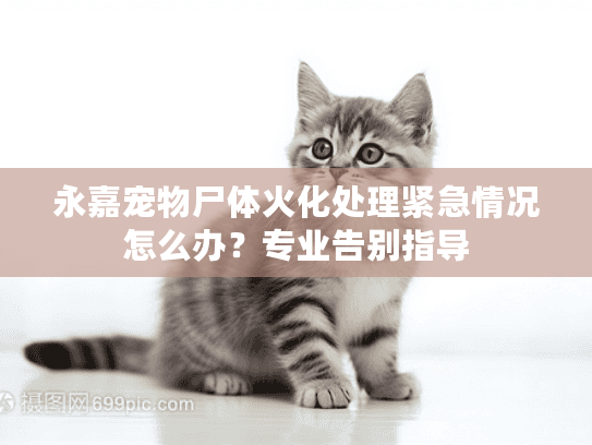 永嘉宠物尸体火化处理紧急情况怎么办？专业告别指导