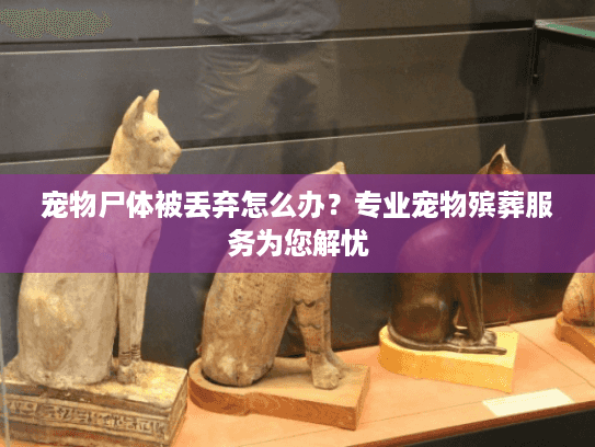 宠物尸体被丢弃怎么办？专业宠物殡葬服务为您解忧