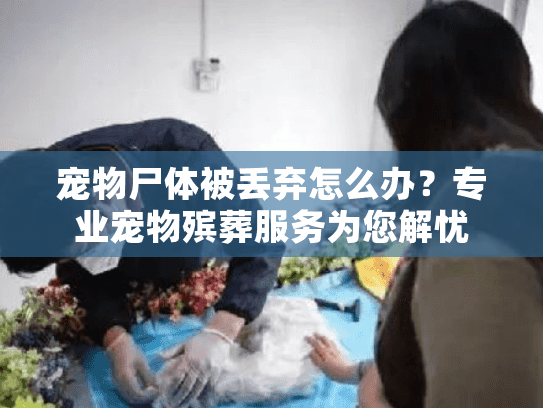 宠物尸体被丢弃怎么办？专业宠物殡葬服务为您解忧