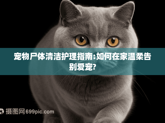 宠物尸体清洁护理指南:如何在家温柔告别爱宠?