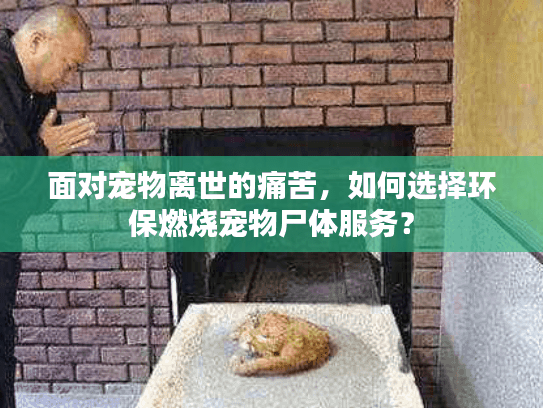 面对宠物离世的痛苦，如何选择环保燃烧宠物尸体服务？