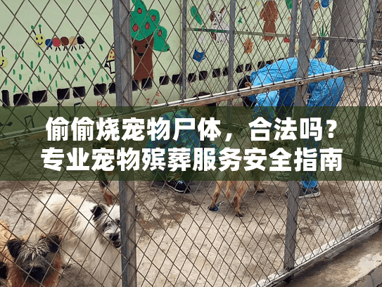 偷偷烧宠物尸体，合法吗？专业宠物殡葬服务安全指南