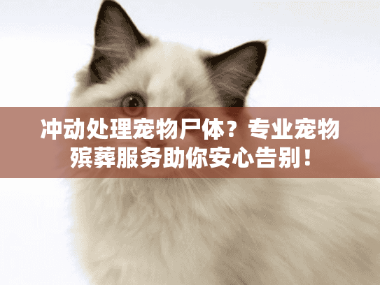 冲动处理宠物尸体？专业宠物殡葬服务助你安心告别！
