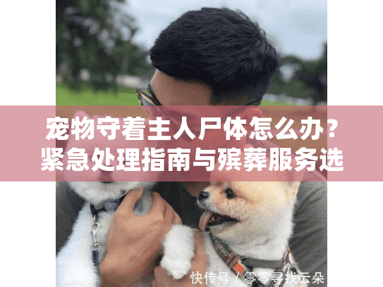 宠物守着主人尸体怎么办?紧急处理指南与殡葬服务选择 宠物守着主人尸体怎么办?紧急处理指南与殡葬服务选择