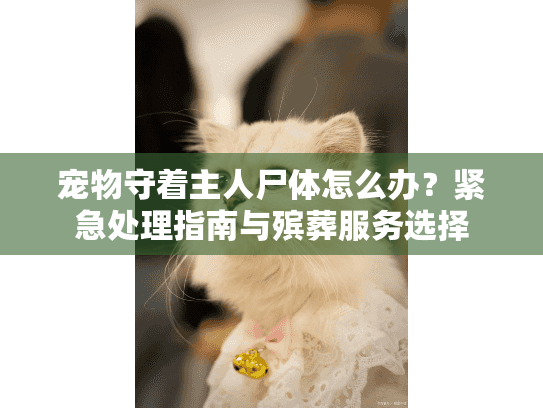 宠物守着主人尸体怎么办?紧急处理指南与殡葬服务选择 宠物守着主人尸体怎么办?紧急处理指南与殡葬服务选择