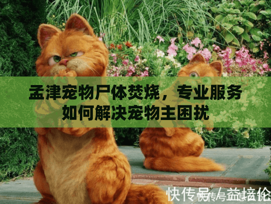 孟津宠物尸体焚烧，专业服务如何解决宠物主困扰