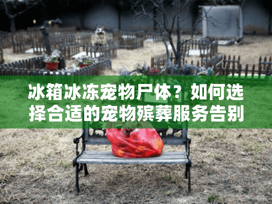 冰箱冰冻宠物尸体？如何选择合适的宠物殡葬服务告别爱宠