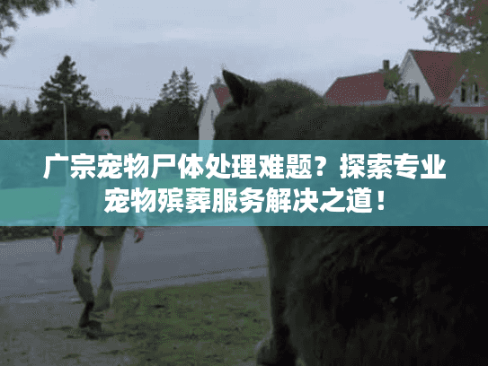 广宗宠物尸体处理难题?探索专业宠物殡葬服务解决之道! 广宗宠物尸体处理难题?探索专业宠物殡葬服务解决之道!