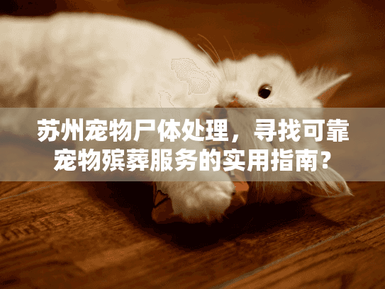 苏州宠物尸体处理,寻找可靠宠物殡葬服务的实用指南? 苏州宠物尸体处理,寻找可靠宠物殡葬服务的实用指南?