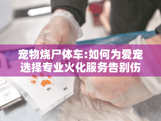 宠物烧尸体车:如何为爱宠选择专业火化服务告别伤痛？