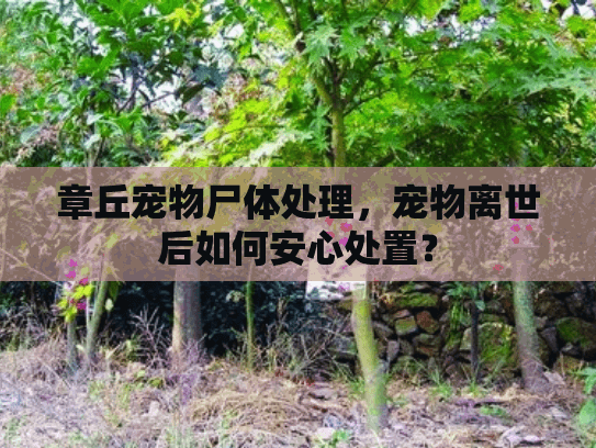 章丘宠物尸体处理，宠物离世后如何安心处置？