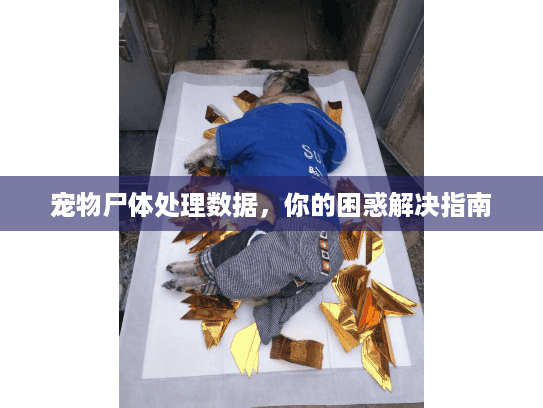 宠物尸体处理数据，你的困惑解决指南