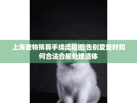 上海宠物殡葬手续流程图|告别爱宠时如何合法合规处理遗体