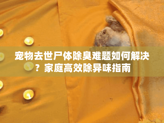 宠物去世尸体除臭难题如何解决？家庭高效除异味指南