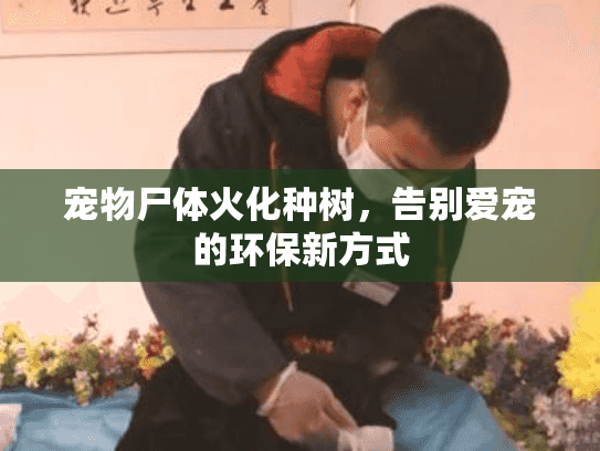宠物尸体火化种树，告别爱宠的环保新方式
