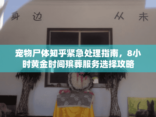 宠物尸体知乎紧急处理指南，8小时黄金时间殡葬服务选择攻略