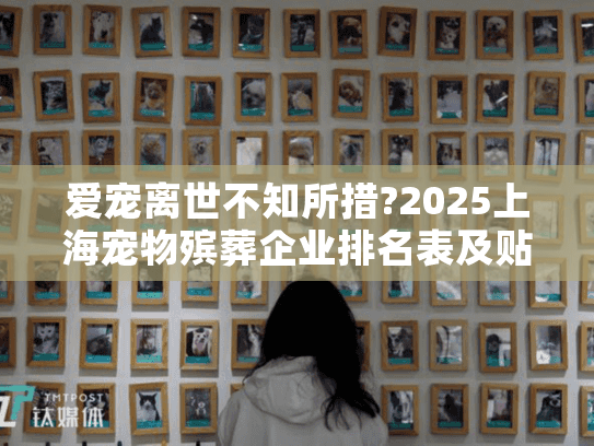 爱宠离世不知所措?2025上海宠物殡葬企业排名表及贴心服务指南