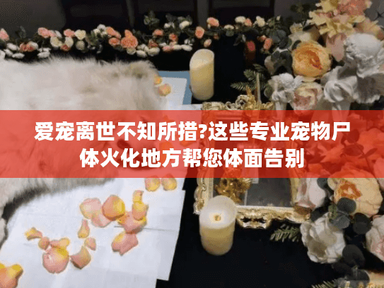 爱宠离世不知所措?这些专业宠物尸体火化地方帮您体面告别