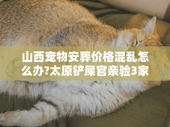 山西宠物安葬价格混乱怎么办?太原铲屎官亲验3家良心机构