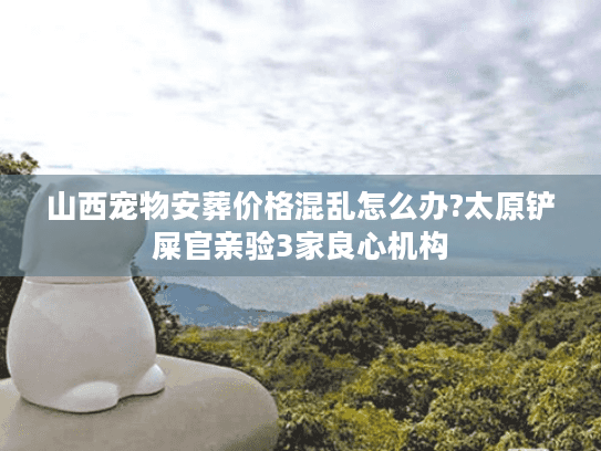 山西宠物安葬价格混乱怎么办?太原铲屎官亲验3家良心机构