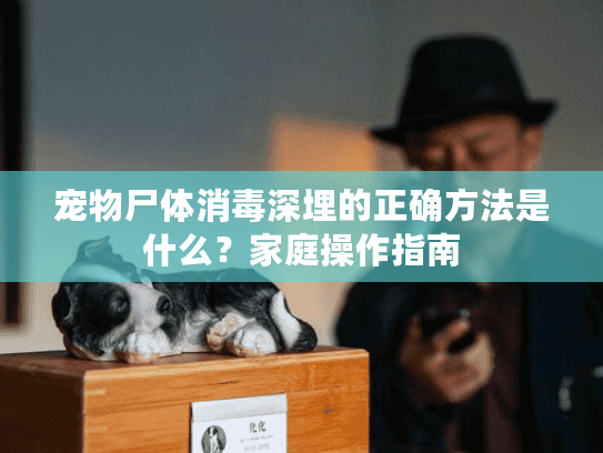 宠物尸体消毒深埋的正确方法是什么？家庭操作指南