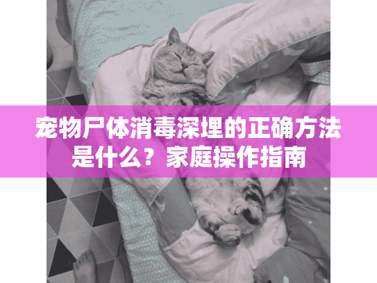 宠物尸体消毒深埋的正确方法是什么？家庭操作指南