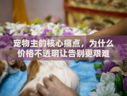 宠物主的核心痛点，为什么价格不透明让告别更艰难