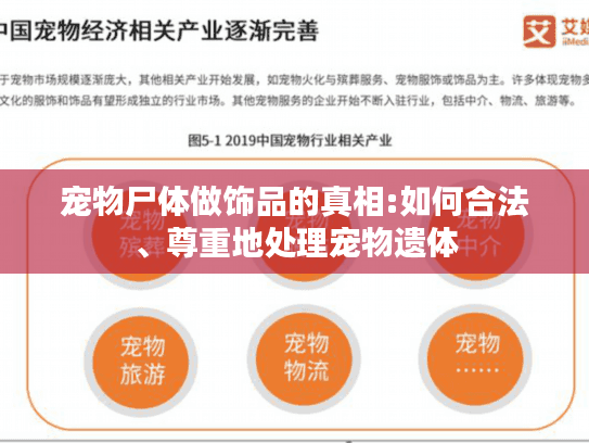 宠物尸体做饰品的真相:如何合法、尊重地处理宠物遗体