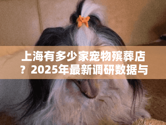 上海有多少家宠物殡葬店？2025年最新调研数据与避坑指南