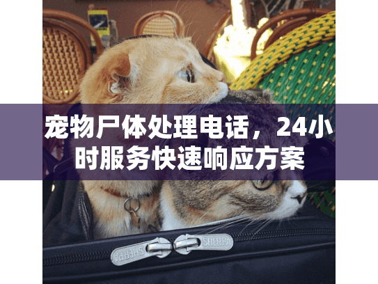 宠物尸体处理电话，24小时服务快速响应方案