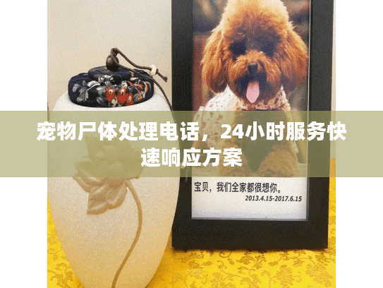 宠物尸体处理电话，24小时服务快速响应方案