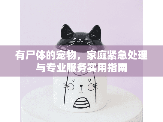 有尸体的宠物，家庭紧急处理与专业服务实用指南