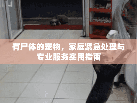 有尸体的宠物，家庭紧急处理与专业服务实用指南