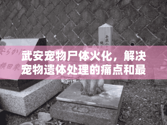武安宠物尸体火化，解决宠物遗体处理的痛点和最佳方案