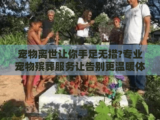 宠物离世让你手足无措?专业宠物殡葬服务让告别更温暖体面