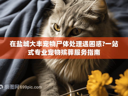 在盐城大丰宠物尸体处理遇困惑?一站式专业宠物殡葬服务指南