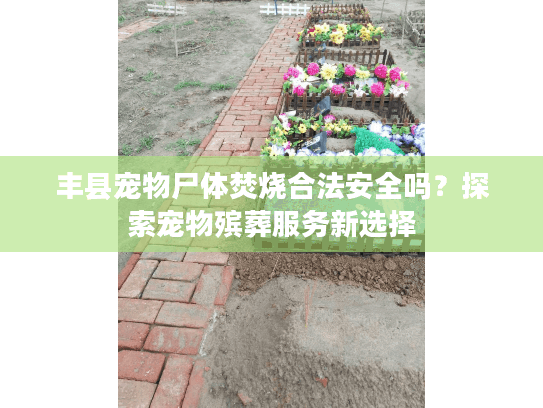 丰县宠物尸体焚烧合法安全吗？探索宠物殡葬服务新选择